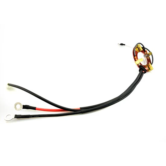 TMTR012837 | Brush Set DC Motor L-360