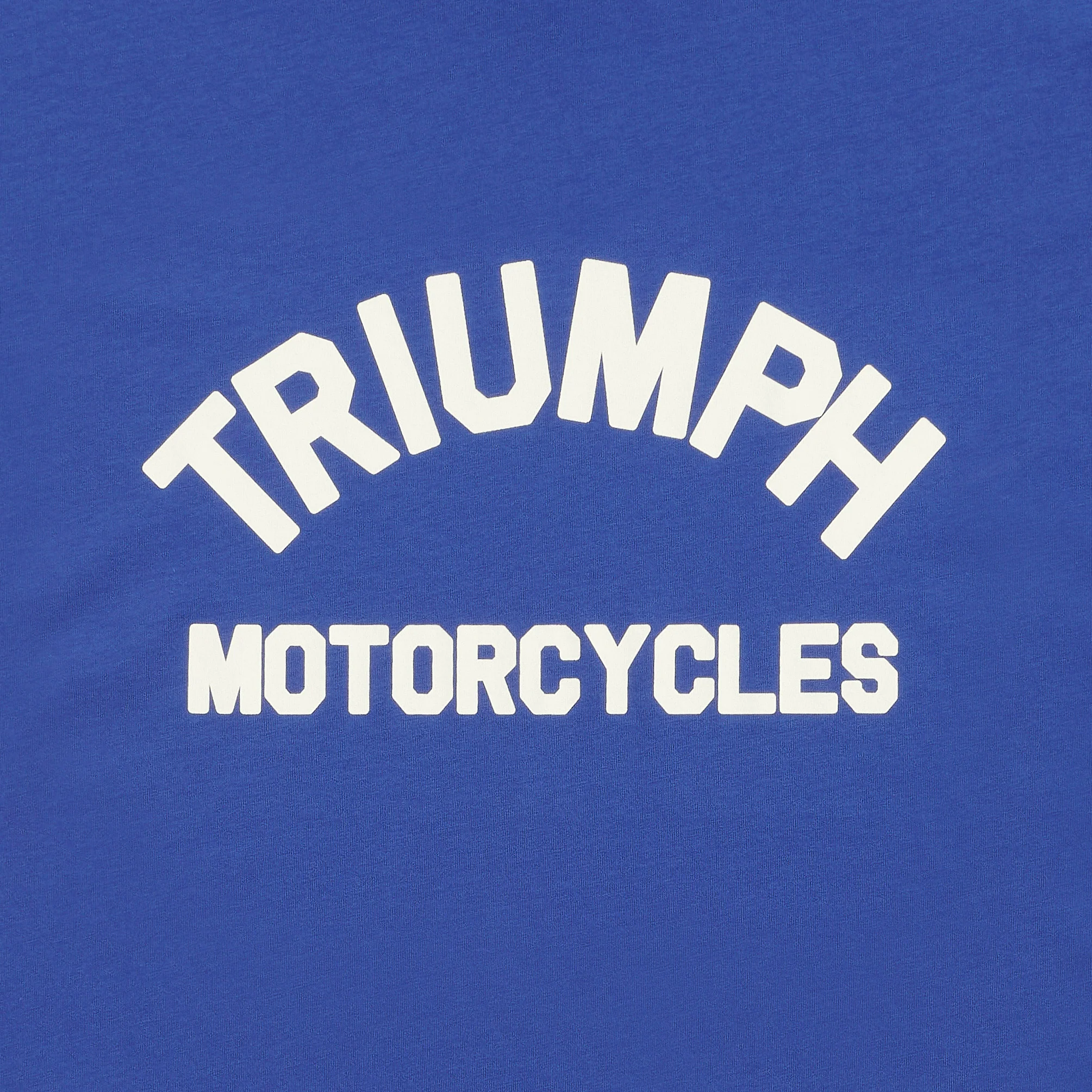 Triumph Mens Burnham T Shirt - Image 2